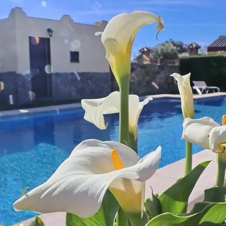 Bella Mendoza Chalet
